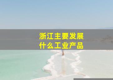 浙江主要发展什么工业产品