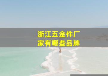 浙江五金件厂家有哪些品牌