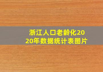 浙江人口老龄化2020年数据统计表图片