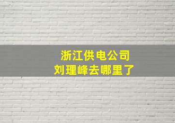 浙江供电公司刘理峰去哪里了