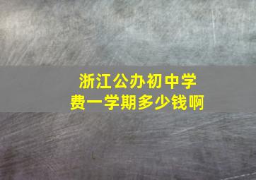 浙江公办初中学费一学期多少钱啊