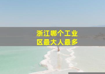 浙江哪个工业区最大人最多