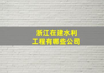 浙江在建水利工程有哪些公司