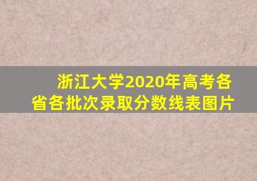 浙江大学2020年高考各省各批次录取分数线表图片