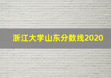 浙江大学山东分数线2020