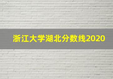 浙江大学湖北分数线2020