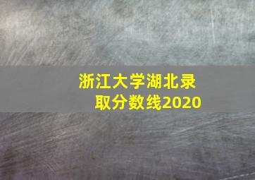 浙江大学湖北录取分数线2020