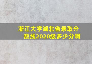 浙江大学湖北省录取分数线2020级多少分啊