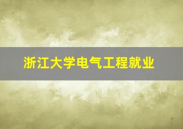 浙江大学电气工程就业