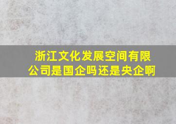 浙江文化发展空间有限公司是国企吗还是央企啊