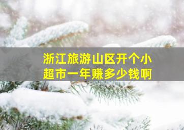 浙江旅游山区开个小超市一年赚多少钱啊