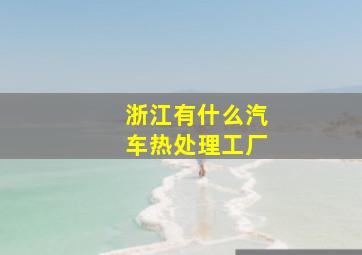 浙江有什么汽车热处理工厂