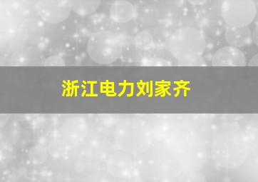 浙江电力刘家齐