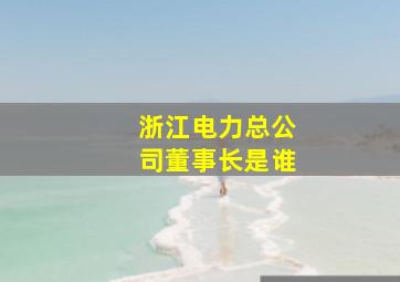 浙江电力总公司董事长是谁