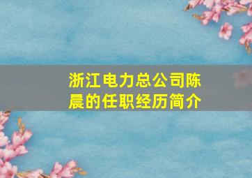 浙江电力总公司陈晨的任职经历简介