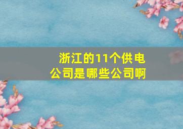 浙江的11个供电公司是哪些公司啊