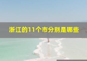 浙江的11个市分别是哪些