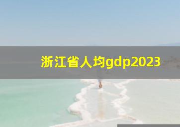 浙江省人均gdp2023