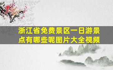 浙江省免费景区一日游景点有哪些呢图片大全视频