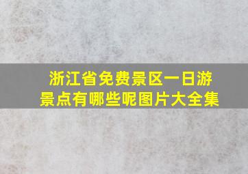 浙江省免费景区一日游景点有哪些呢图片大全集