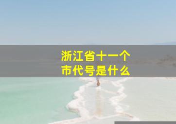 浙江省十一个市代号是什么