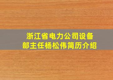 浙江省电力公司设备部主任杨松伟简历介绍