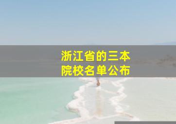 浙江省的三本院校名单公布