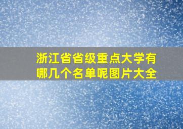 浙江省省级重点大学有哪几个名单呢图片大全