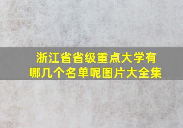 浙江省省级重点大学有哪几个名单呢图片大全集