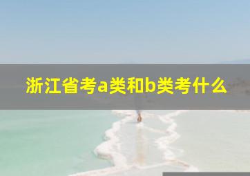 浙江省考a类和b类考什么