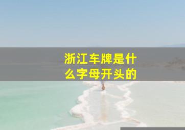 浙江车牌是什么字母开头的