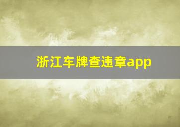 浙江车牌查违章app