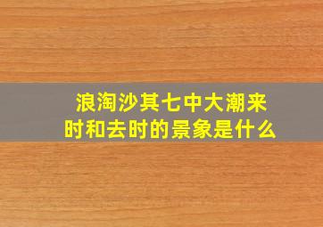 浪淘沙其七中大潮来时和去时的景象是什么