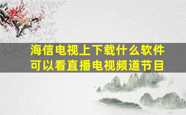 海信电视上下载什么软件可以看直播电视频道节目