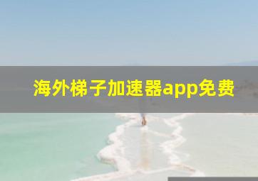 海外梯子加速器app免费