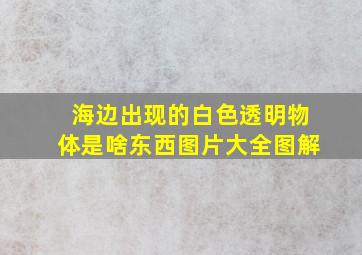 海边出现的白色透明物体是啥东西图片大全图解