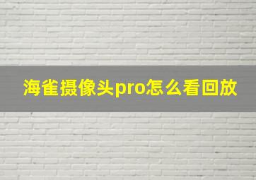 海雀摄像头pro怎么看回放