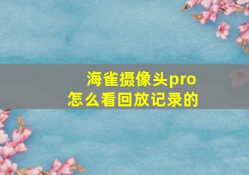 海雀摄像头pro怎么看回放记录的