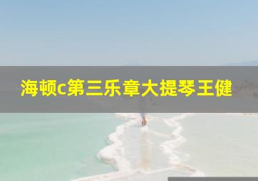 海顿c第三乐章大提琴王健