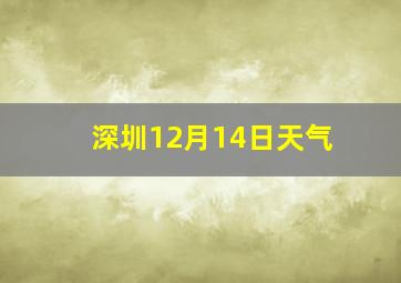 深圳12月14日天气