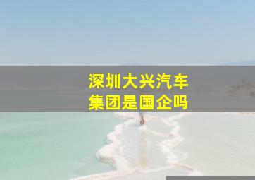 深圳大兴汽车集团是国企吗