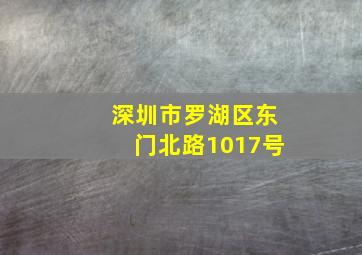 深圳市罗湖区东门北路1017号