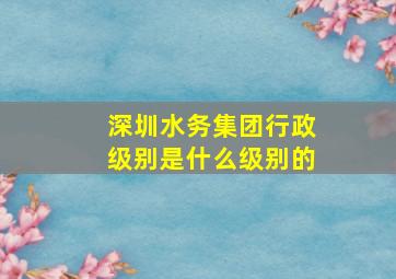 深圳水务集团行政级别是什么级别的