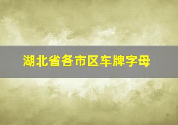 湖北省各市区车牌字母