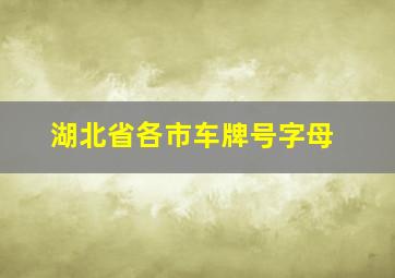 湖北省各市车牌号字母