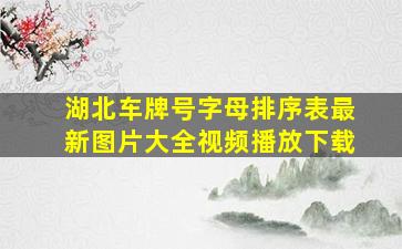 湖北车牌号字母排序表最新图片大全视频播放下载