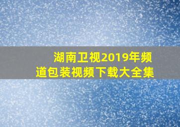 湖南卫视2019年频道包装视频下载大全集