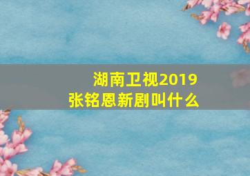 湖南卫视2019张铭恩新剧叫什么