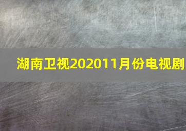 湖南卫视202011月份电视剧