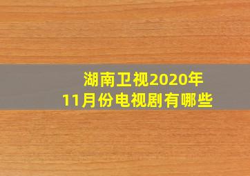 湖南卫视2020年11月份电视剧有哪些